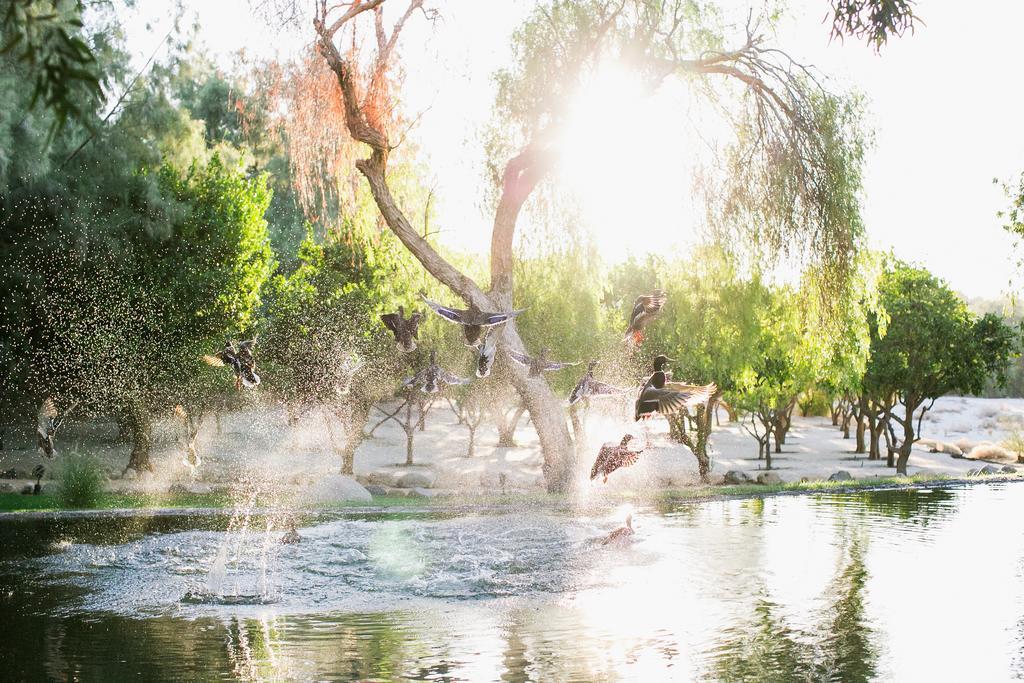 Two Bunch Palms Resort & Spa - Adults Only Desert Hot Springs Exterior foto