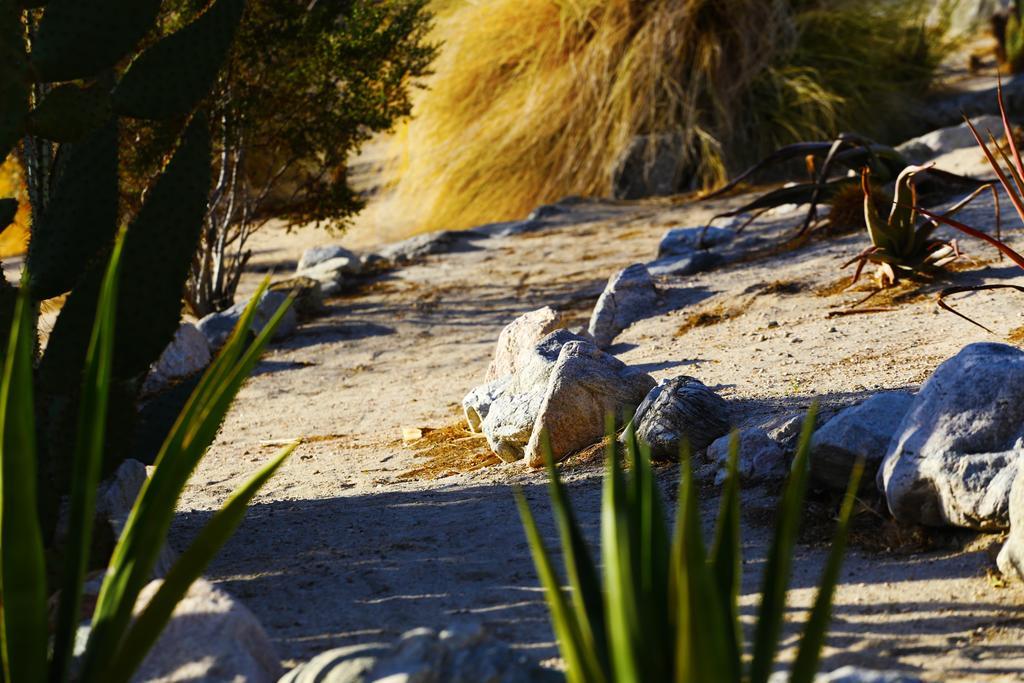 Two Bunch Palms Resort & Spa - Adults Only Desert Hot Springs Exterior foto